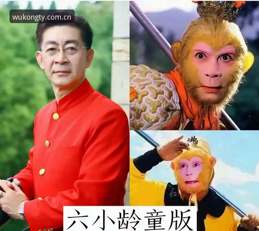 如何全面掌握悟空体育综合平台攻略？从新手到高手的完整指南
